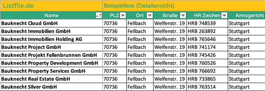 Beispiel einer Firmenholding