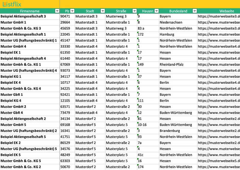 Aufbau einer Listflix-Firmenliste in Excel mit den Spalten Firmenname, PLZ, Stadt, Straße, Hausnummer, Bundesland und Webseite